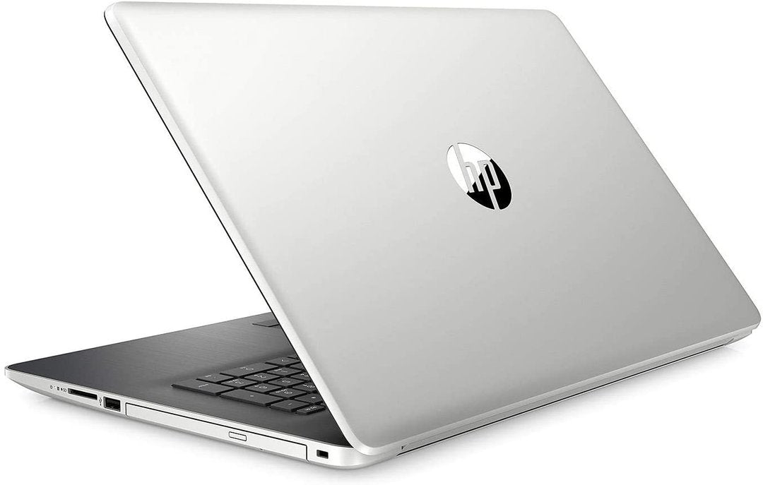 2019 17.3" HD+ Touchscreen Premium Business Laptop