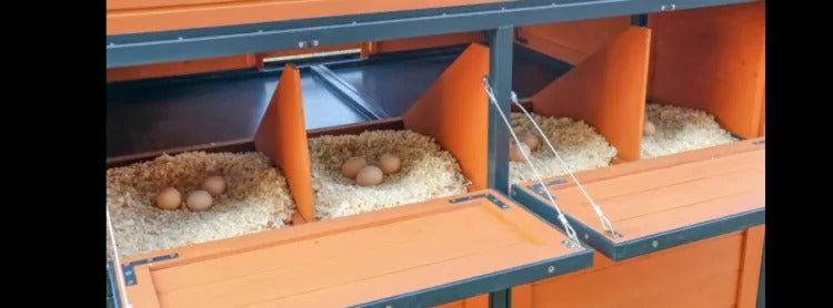 PRODUCERS PRIDE CHICKEN COOP