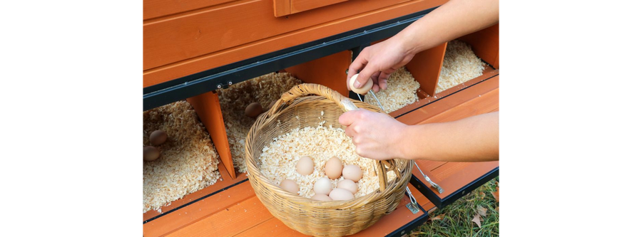 PRODUCERS PRIDE CHICKEN COOP