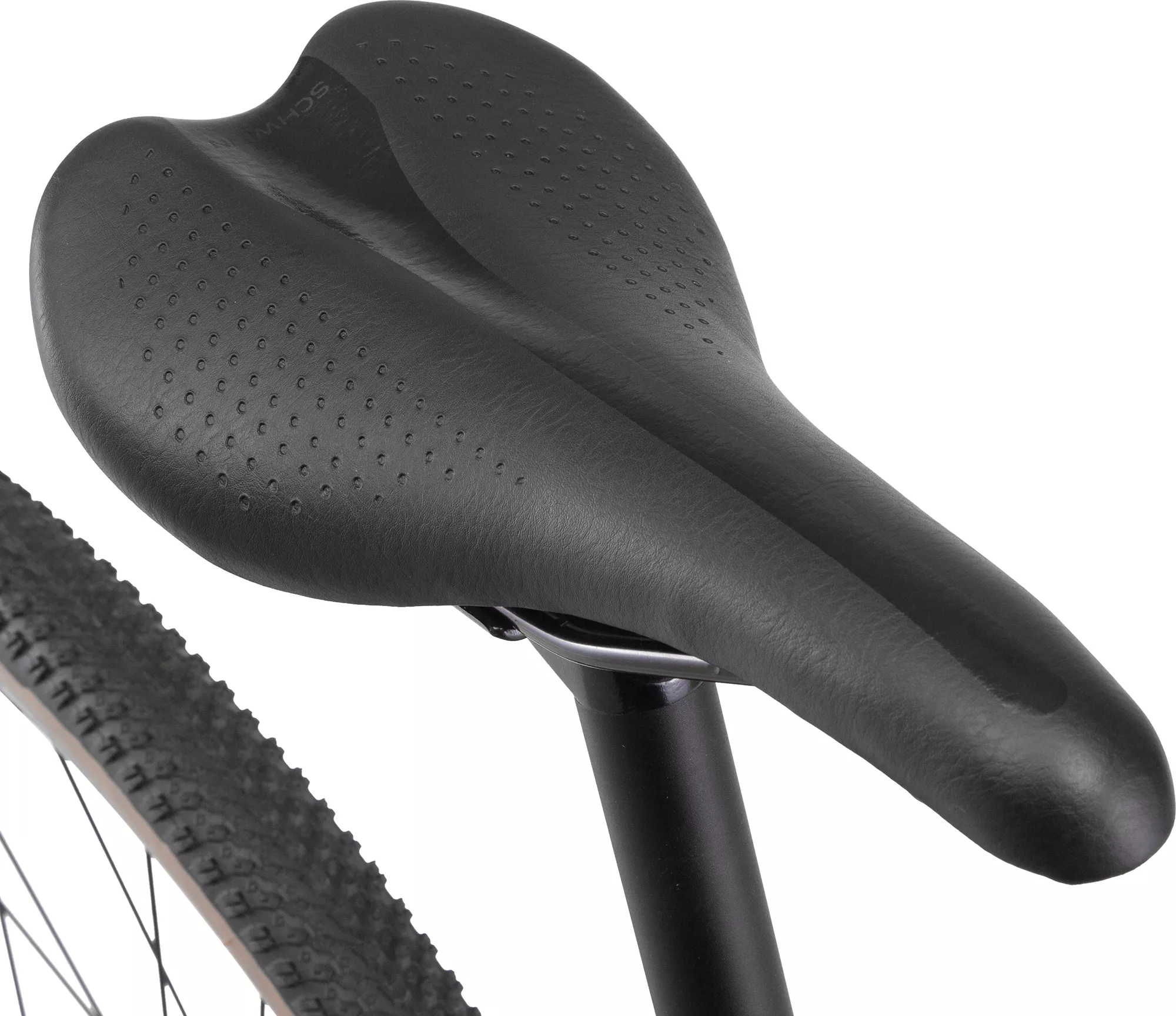 Schwinn Men's Sporterra CE Gravel Bike