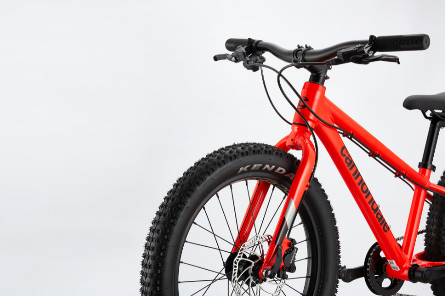 Cannondale Kids Cujo Race 20+