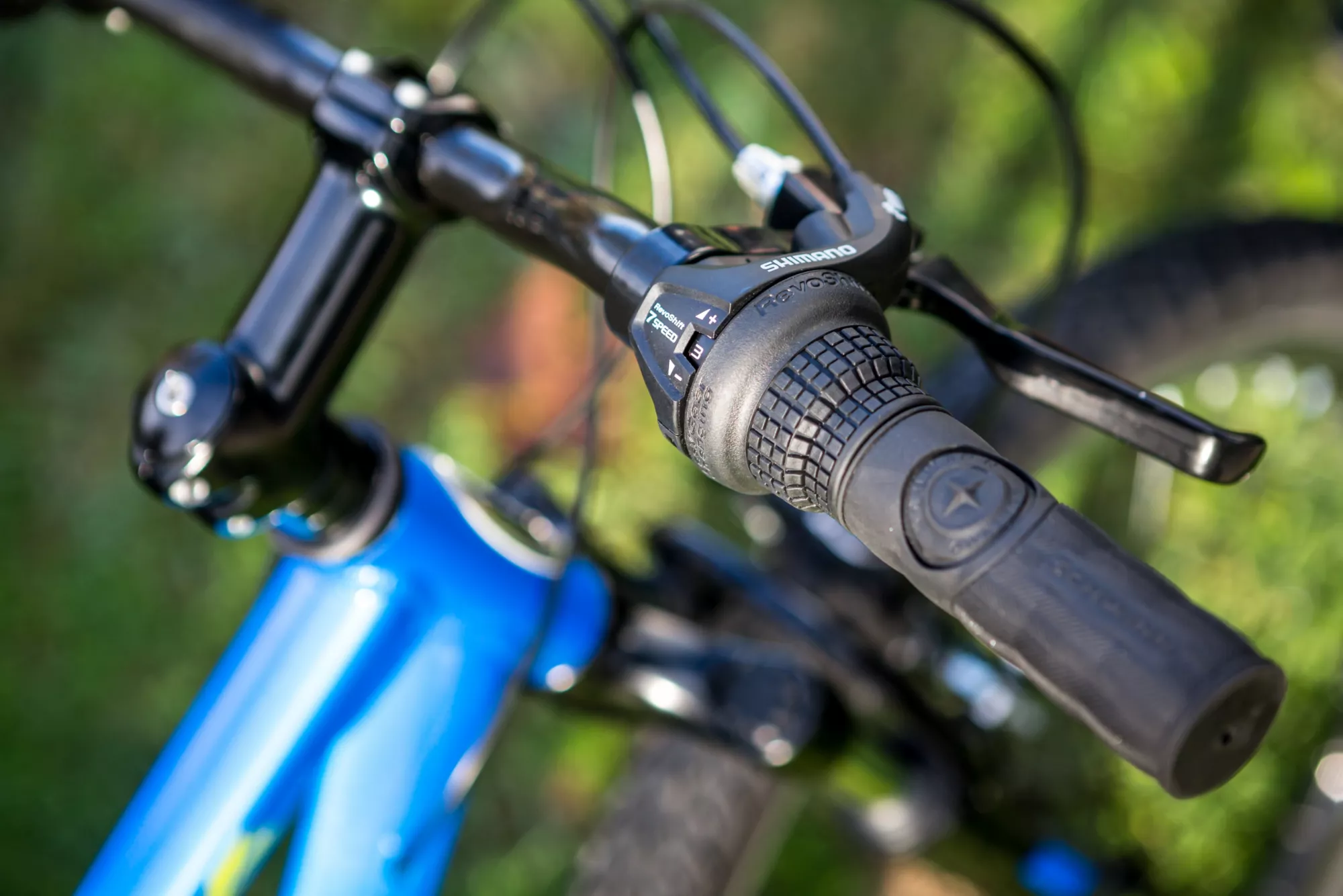 Schwinn Signature Boys' Thrasher 24'' Mountain Bike