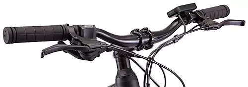 Schwinn Ridgewood Electric Bike