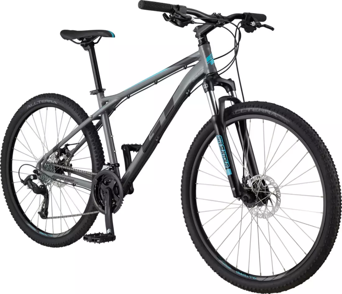 GT Men's Aggressor Pro Mountain Bike