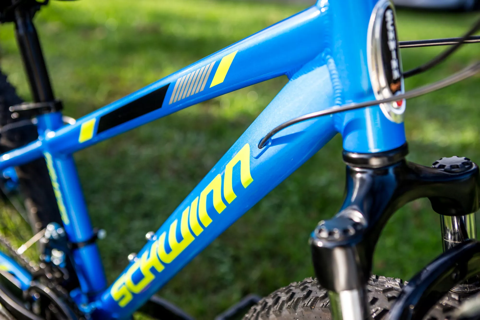 Schwinn Signature Boys' Thrasher 24'' Mountain Bike