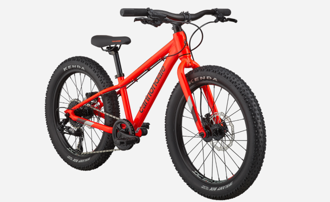 Cannondale Kids Cujo Race 20+