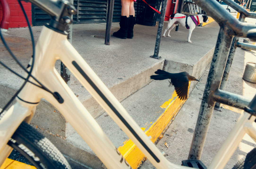 Cannondale Treadwell 2 Remixte Ltd