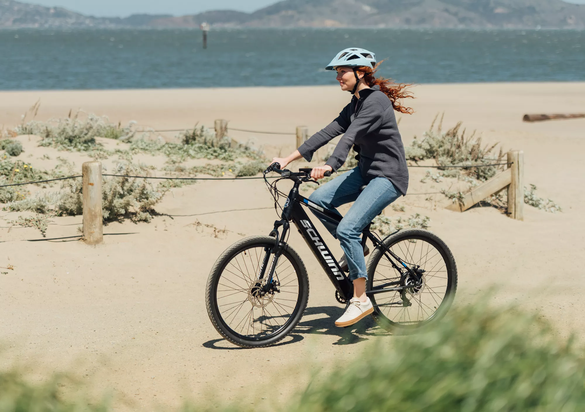 Schwinn Men's Amalgam Electric Bike