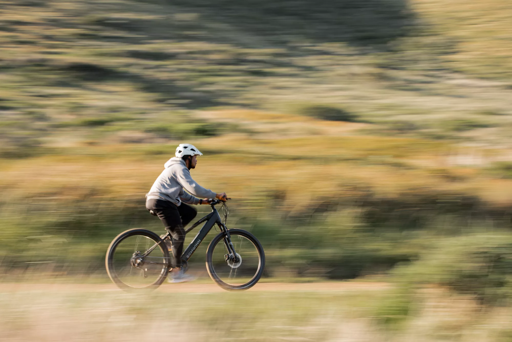 Schwinn Ridgewood Electric Bike
