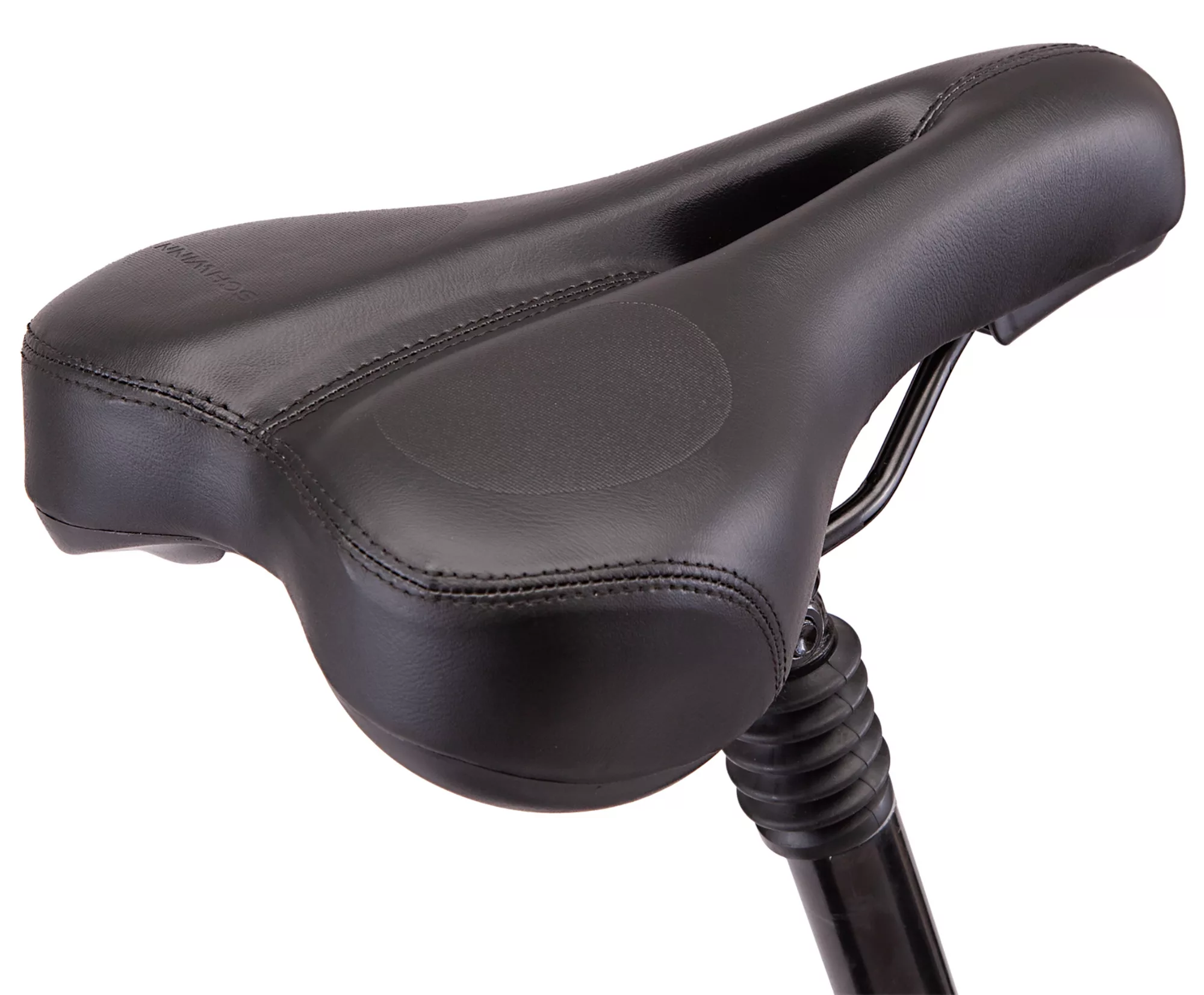 Schwinn Ridgewood Electric Bike