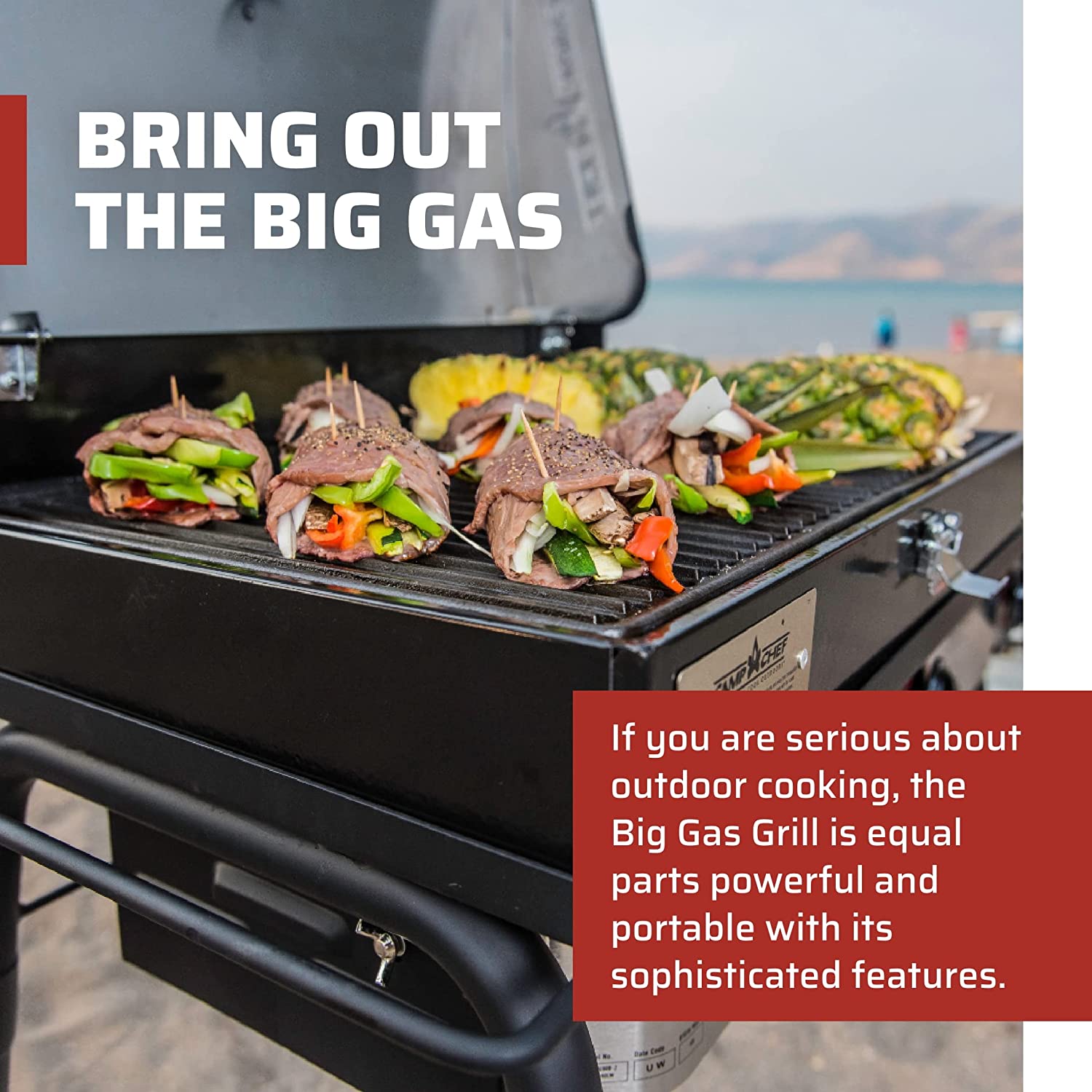 Camp Chef Big Gas Grill, 3 Burner Stove, Professional BBQ Grill Box (BB90L), Cooking Dimensions: 16 in x 38 in