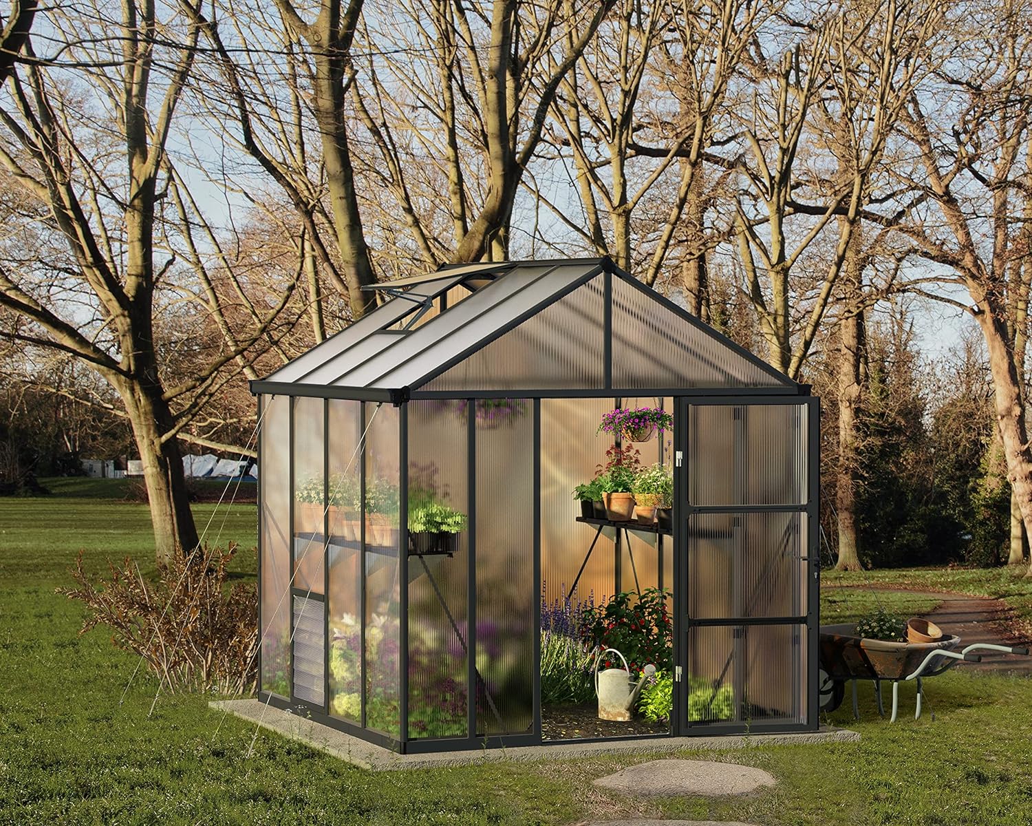 Palram - Canopia Glory Greenhouse - 8 'x 8' - Gray
