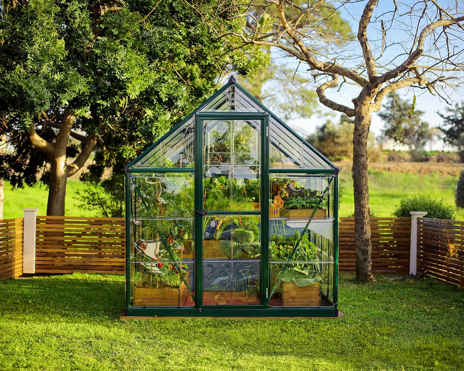 Palram - Canopia Hybrid Lean-to Greenhouse - 4' x 8' - Silver