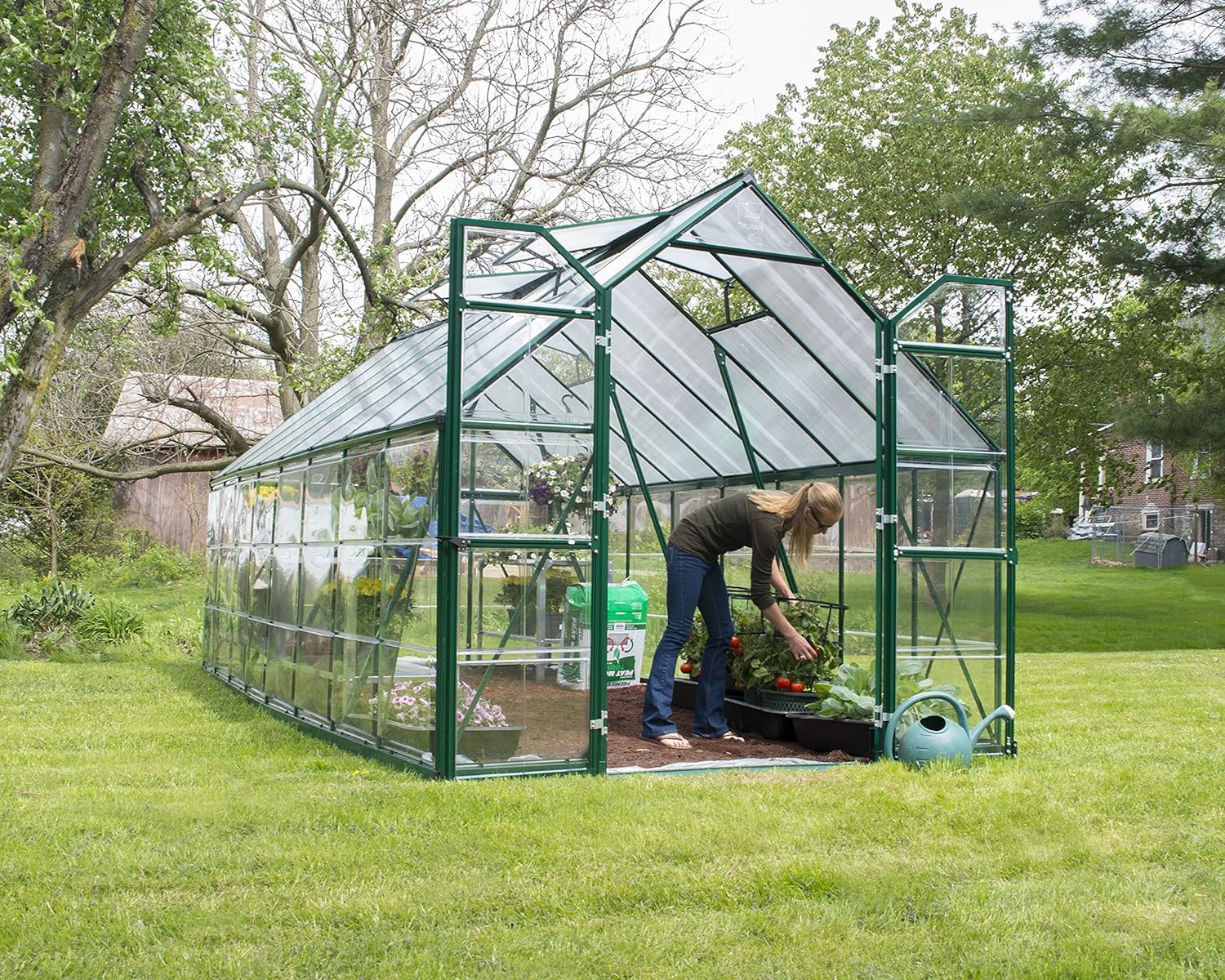 Palram - Canopia Balance Hobby Greenhouse, 8' x 8', Green