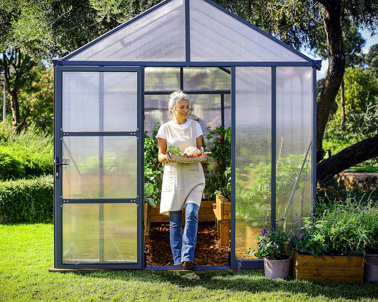 Palram - Canopia Glory Greenhouse - 8 'x 8' - Gray